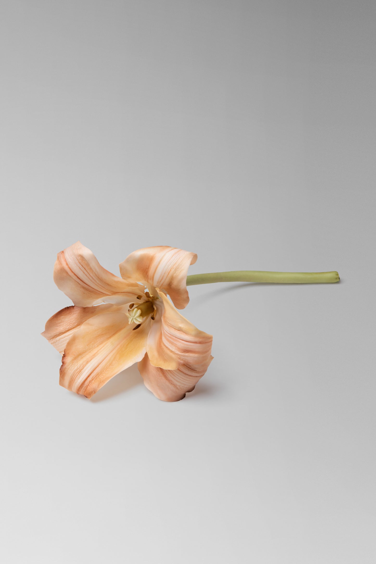 Daylily Brooch