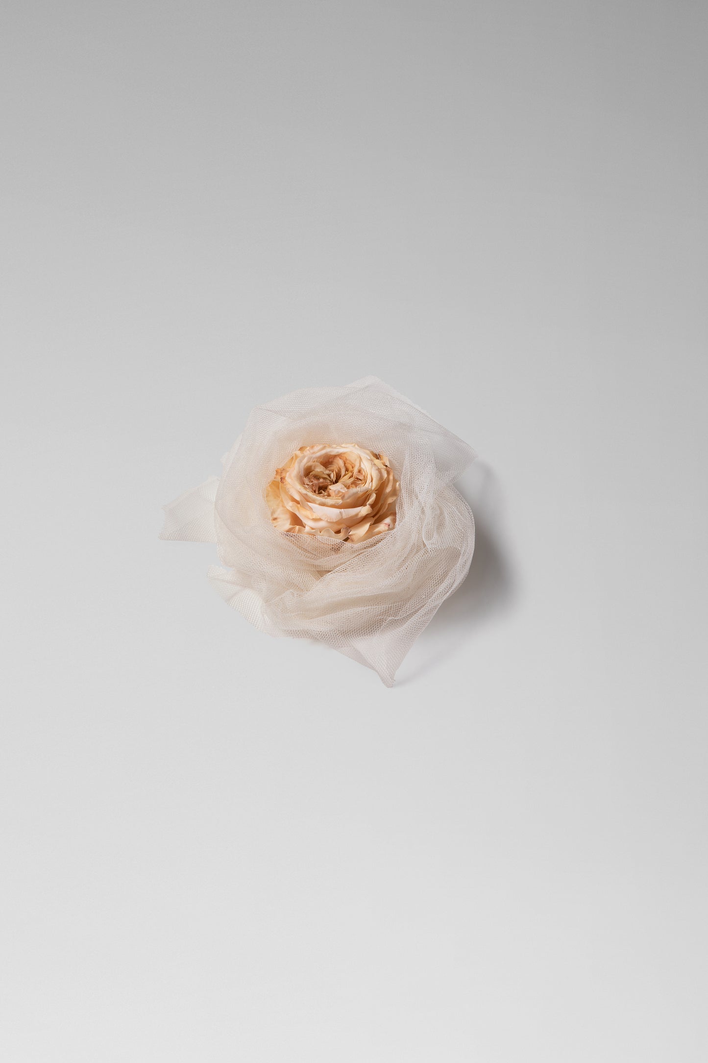 English Rose Brooch