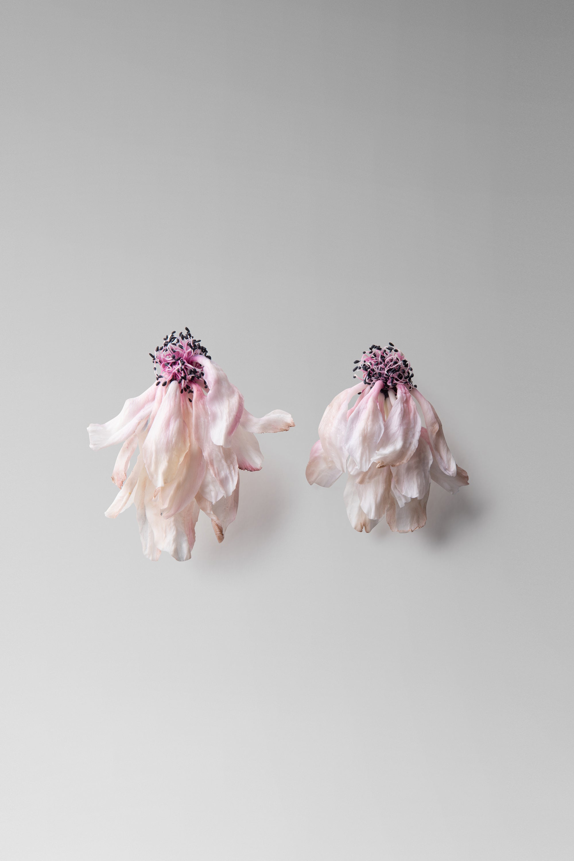 Individually hand shaped and painted clay flowers. Feather weight with sterling silver post back finishing.Approximate measure: H: 3¼ ” x W: 2 1/2”Due to the hand made nature of the individual petals as well as the asymmetrical design of the pair, each piece will vary slightly in size. 