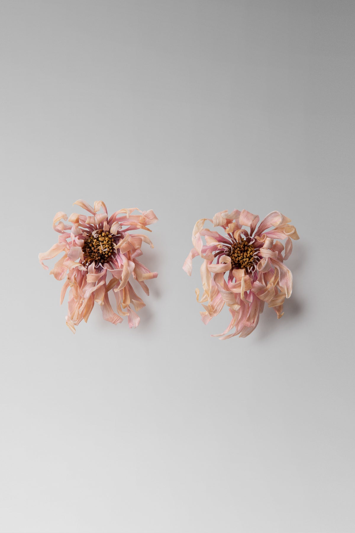 Chrysanthemum Earrings