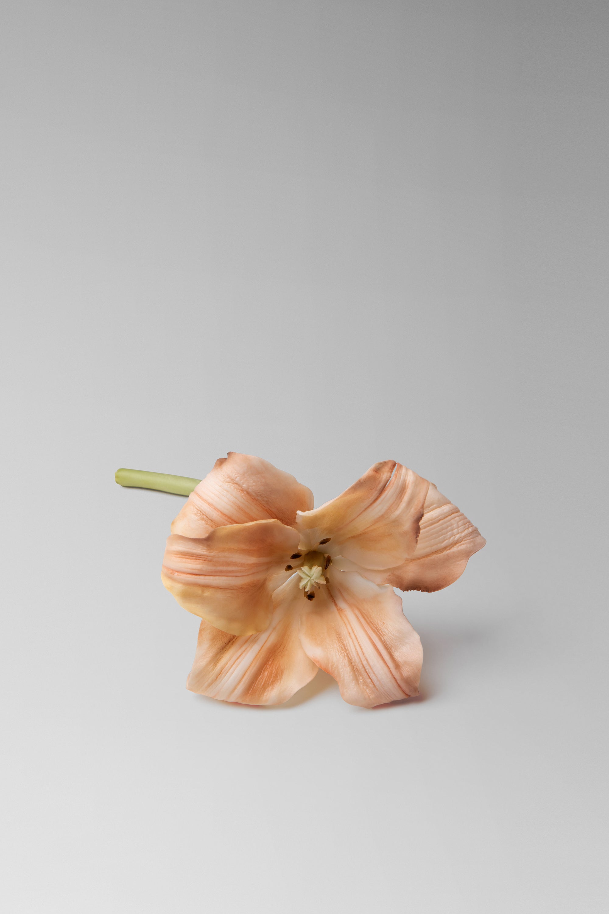 Individually hand shaped and painted clay flowers. Feather weight with brass head pin closure.Lily Measures approximately H: 2 ¼ ” x W: 3 ½” (not including stem) 3” long brass head pin.Due to the hand made nature of the individual petals each piece will vary slightly in size. 