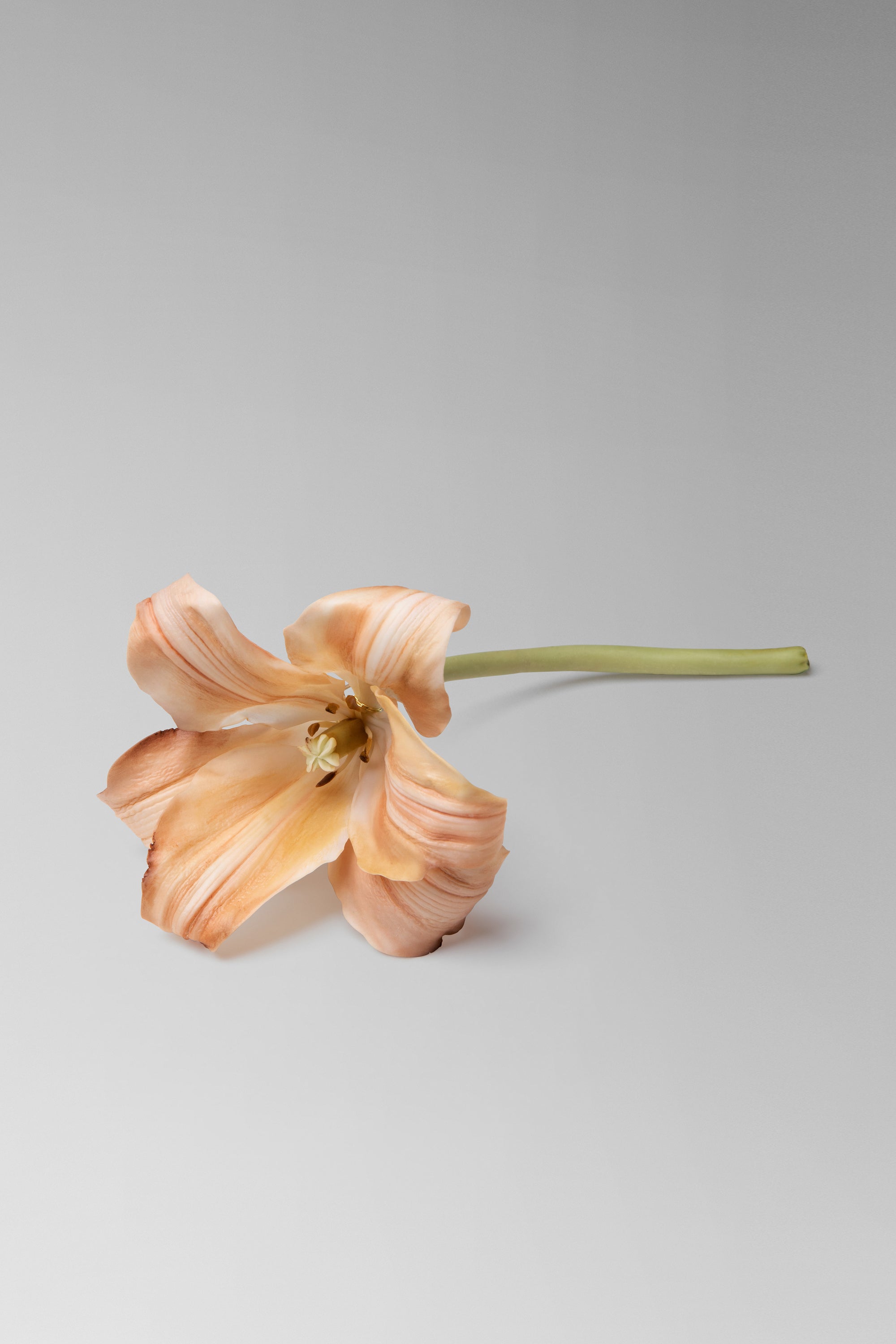 Individually hand shaped and painted clay flowers. Feather weight with brass head pin closure.Lily Measures approximately H: 2 ¼ ” x W: 3 ½” (not including stem) 3” long brass head pin.Due to the hand made nature of the individual petals each piece will vary slightly in size. 