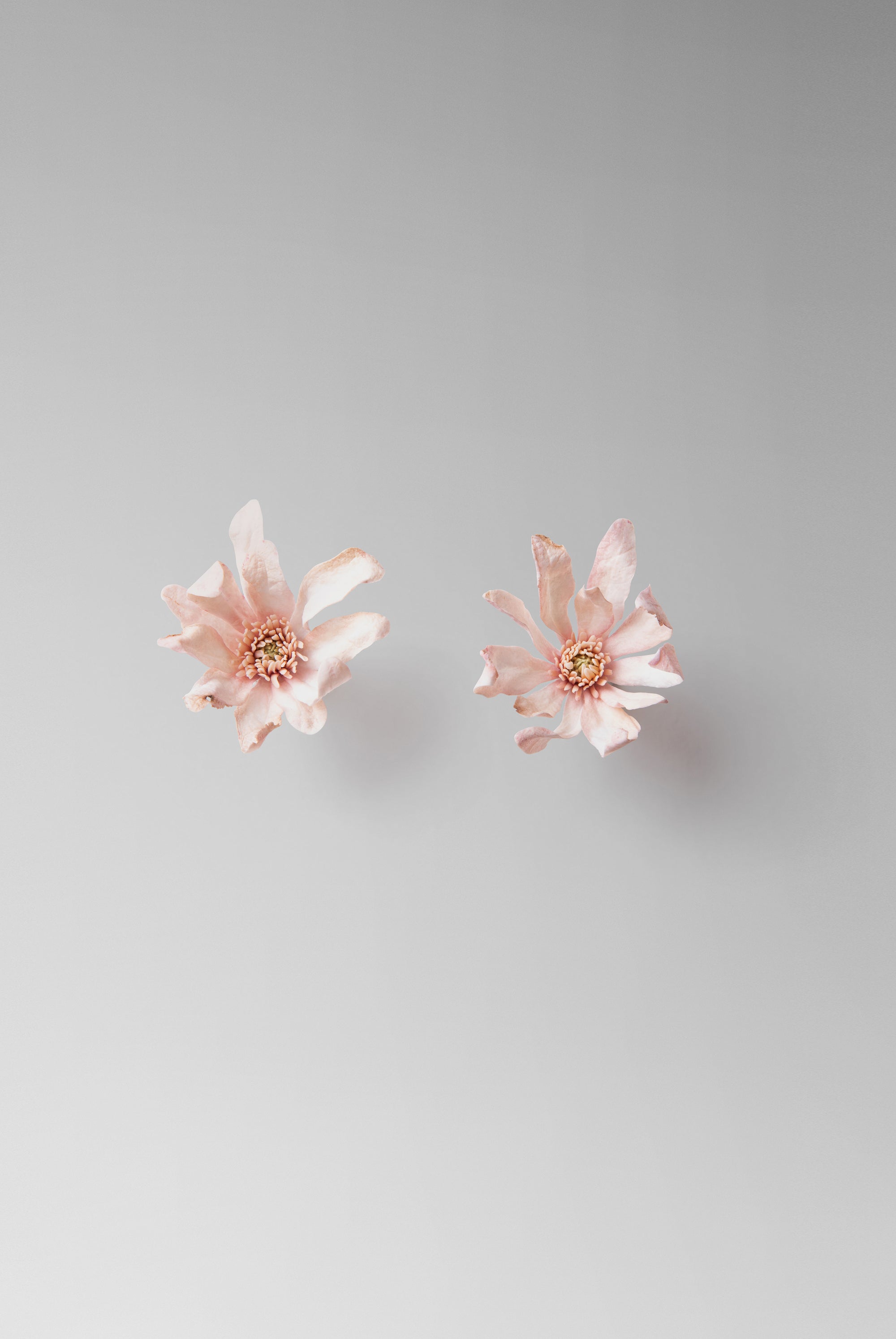 Individually hand shaped and painted clay flowers. Feather weight with sterling silver post back finishing.Approximate measure: H: 1 1/2 ” x W: 1 1/4”Due to the hand made nature of the individual petals as well as the asymmetrical design of the pair, each piece will vary slightly in size. 