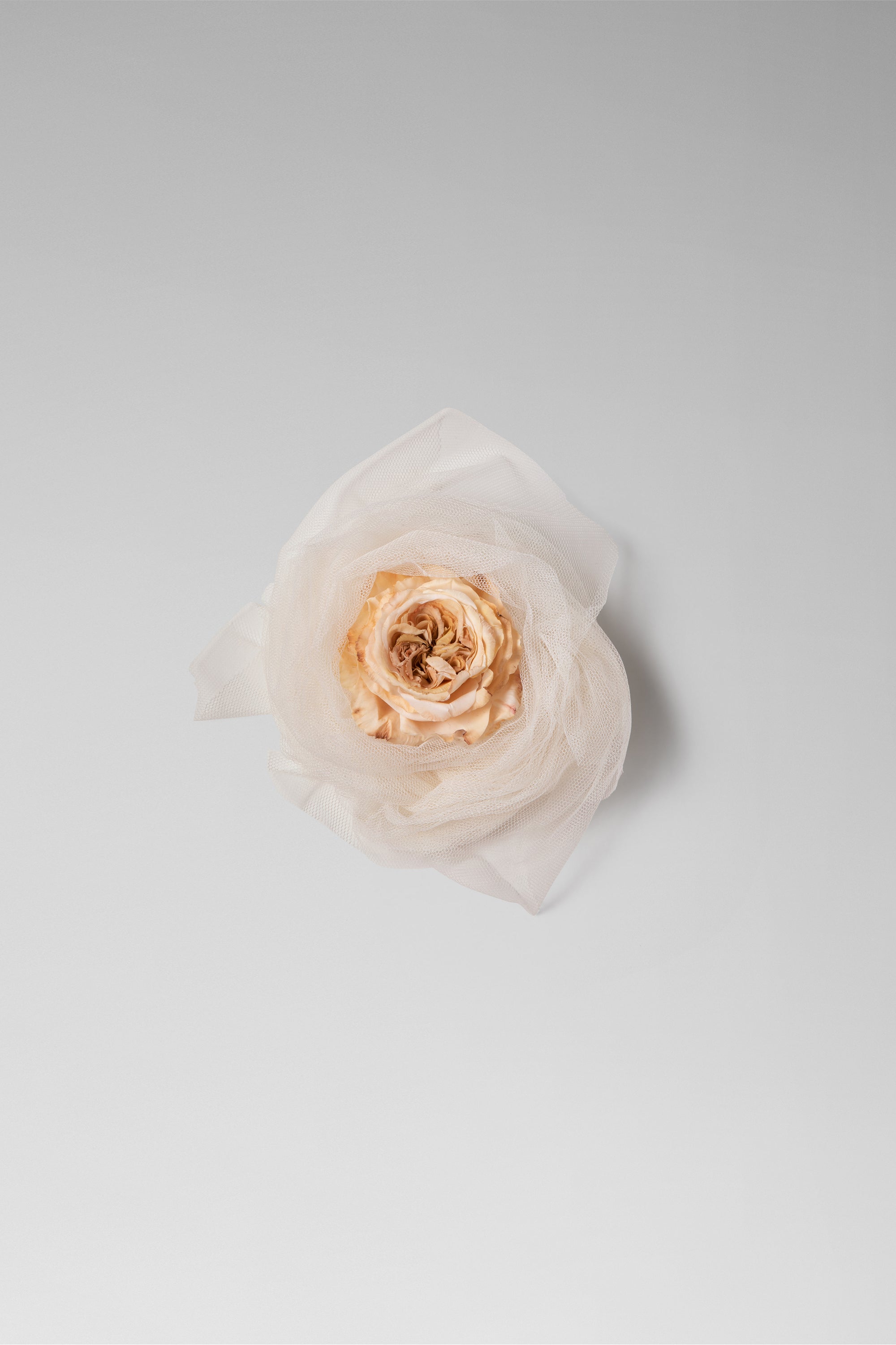 Individually hand shaped and painted clay flower surrounded by tulle. Feather weight with sterling silver plated pin back closure.Approximate measure including veiled tulle: H: 5 1/2 ” x W: 5 3/4”. Due to the hand made nature of the individual petals each piece will vary slightly in size.