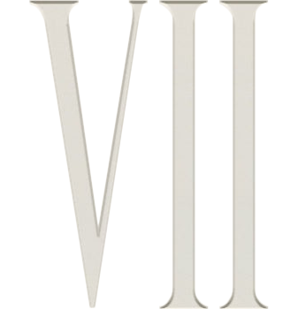 COLLECTION VII