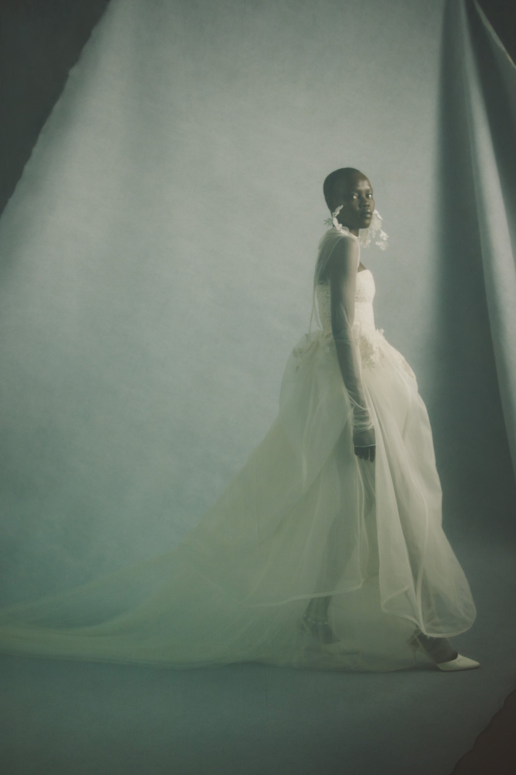 Strapless Tulle and Air Organza gown with Chantilly and corded lace appliqué.﻿